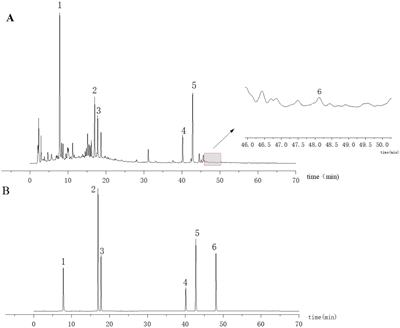 Ruhao Dashi granules exert therapeutic effects on H1N1 influenza virus infection by altering intestinal microflora composition